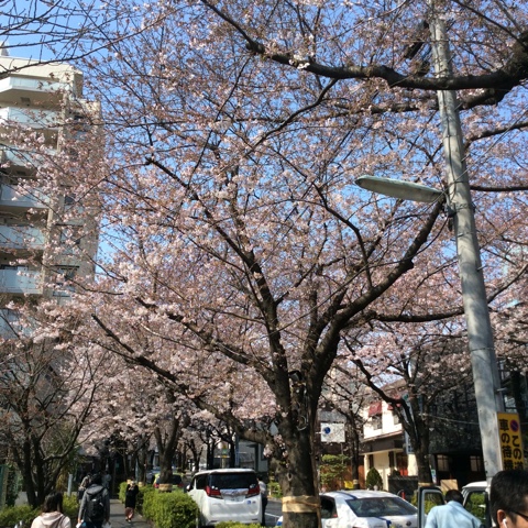 20170405shi-zun02.jpg