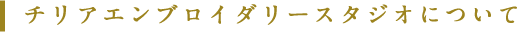 チリアエンブロイダリースタジオについて